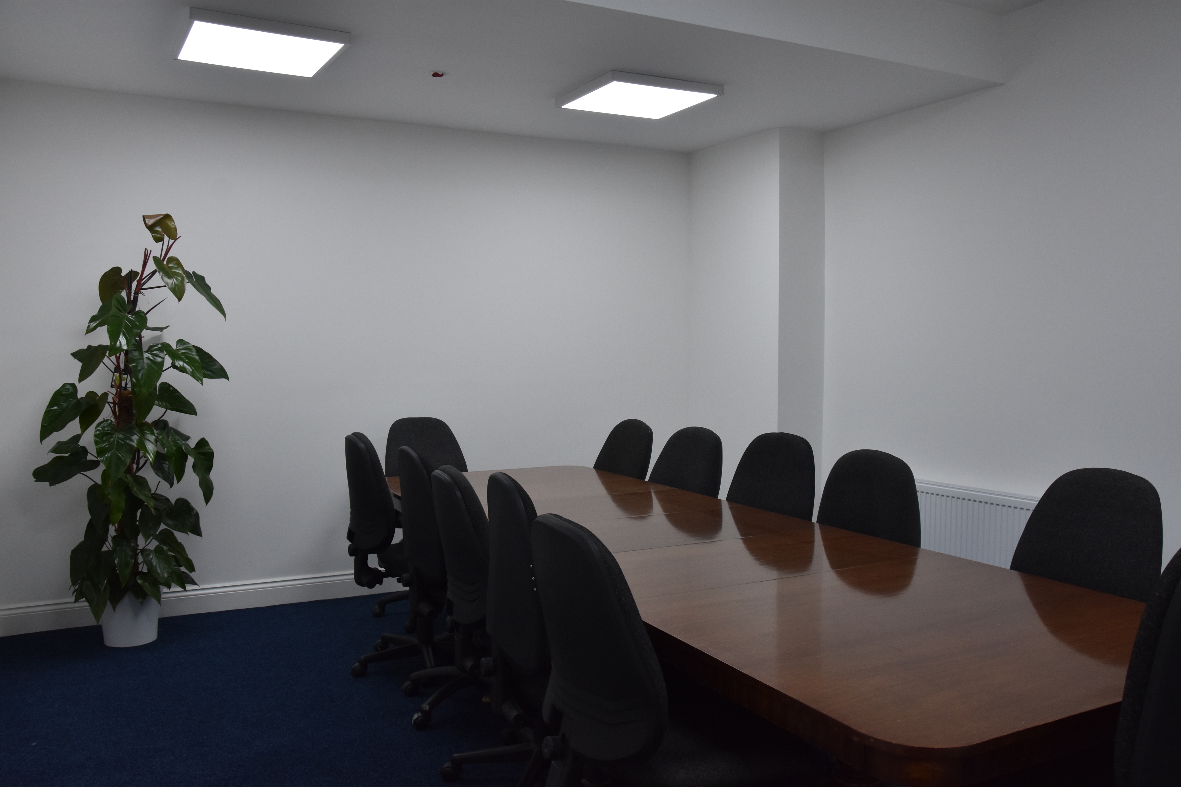 Photo of Quadrant House Wimbledon, Tulip