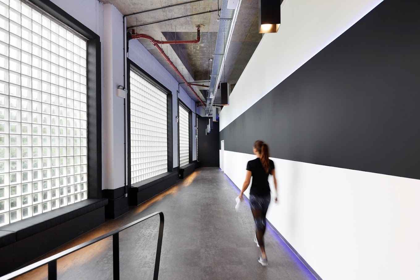 Photo of Studio Society