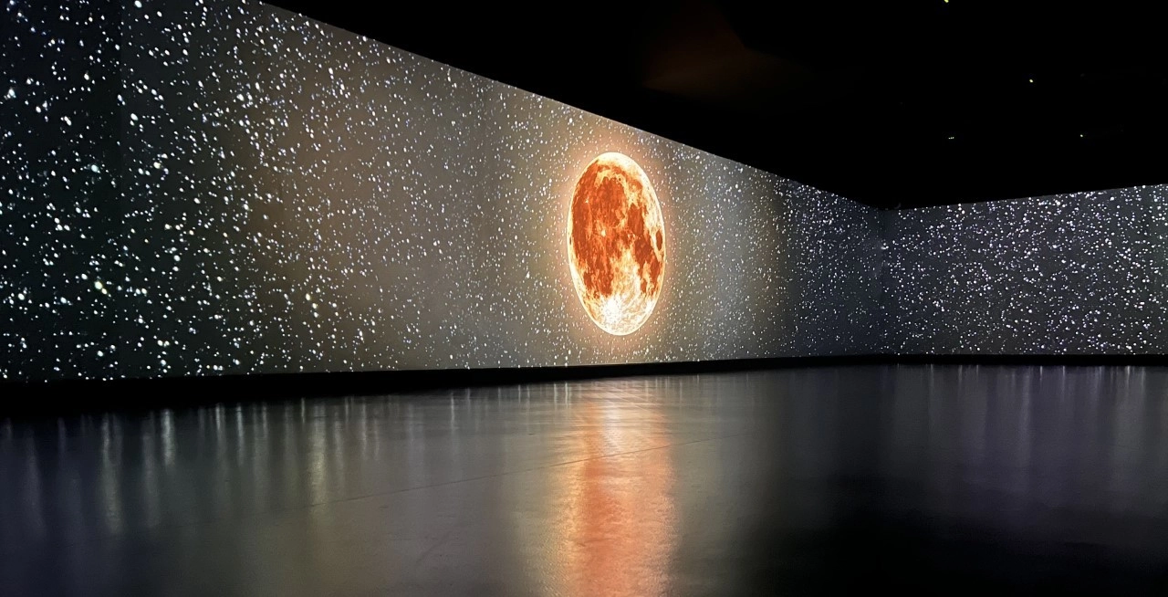 Photo of Studio Society