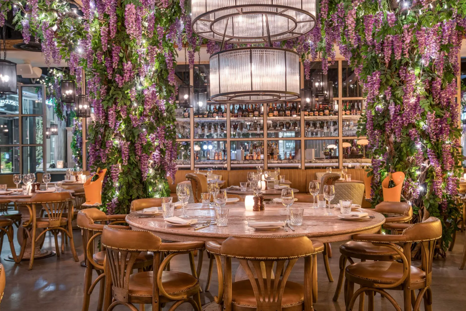 Victor's Oxford, Semi Exclusive photo #2