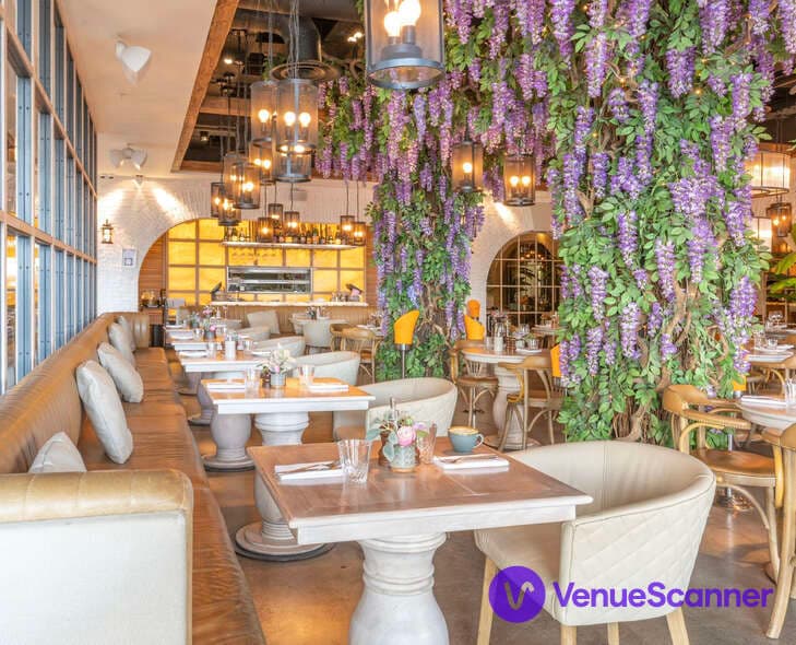 Semi Exclusive, Victor's Oxford photo #3