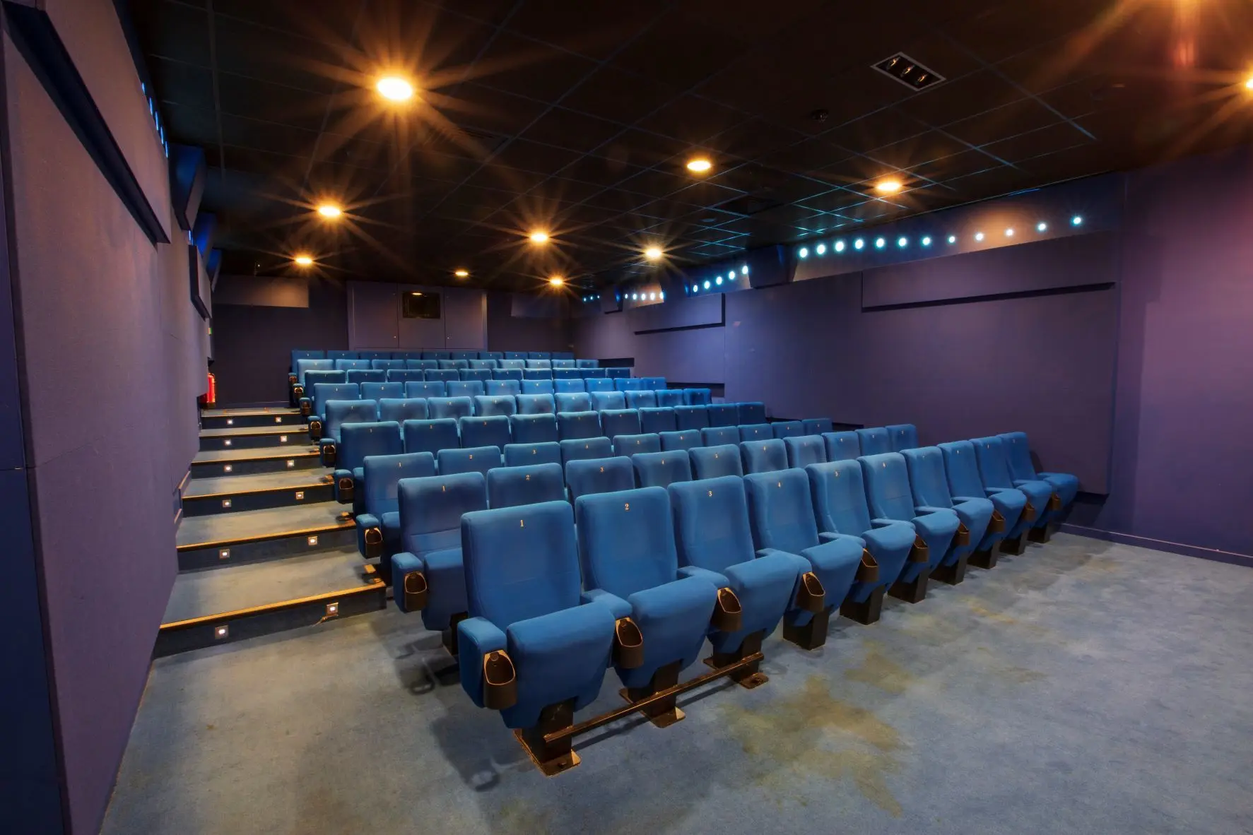 Curzon Wimbledon, Blue Screen 2 photo #2