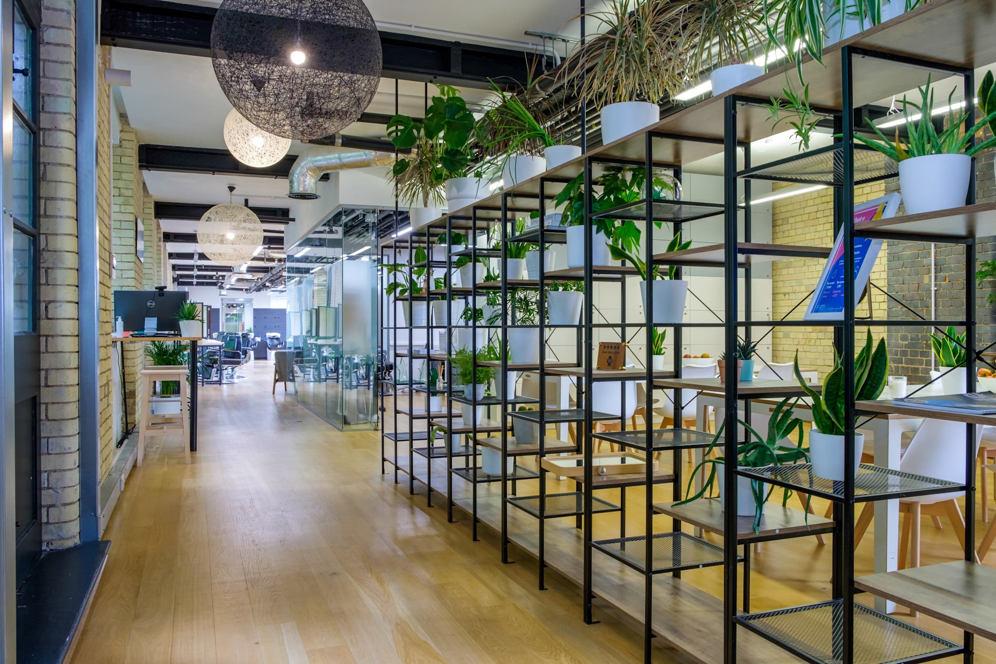 Hunter Collective Studio