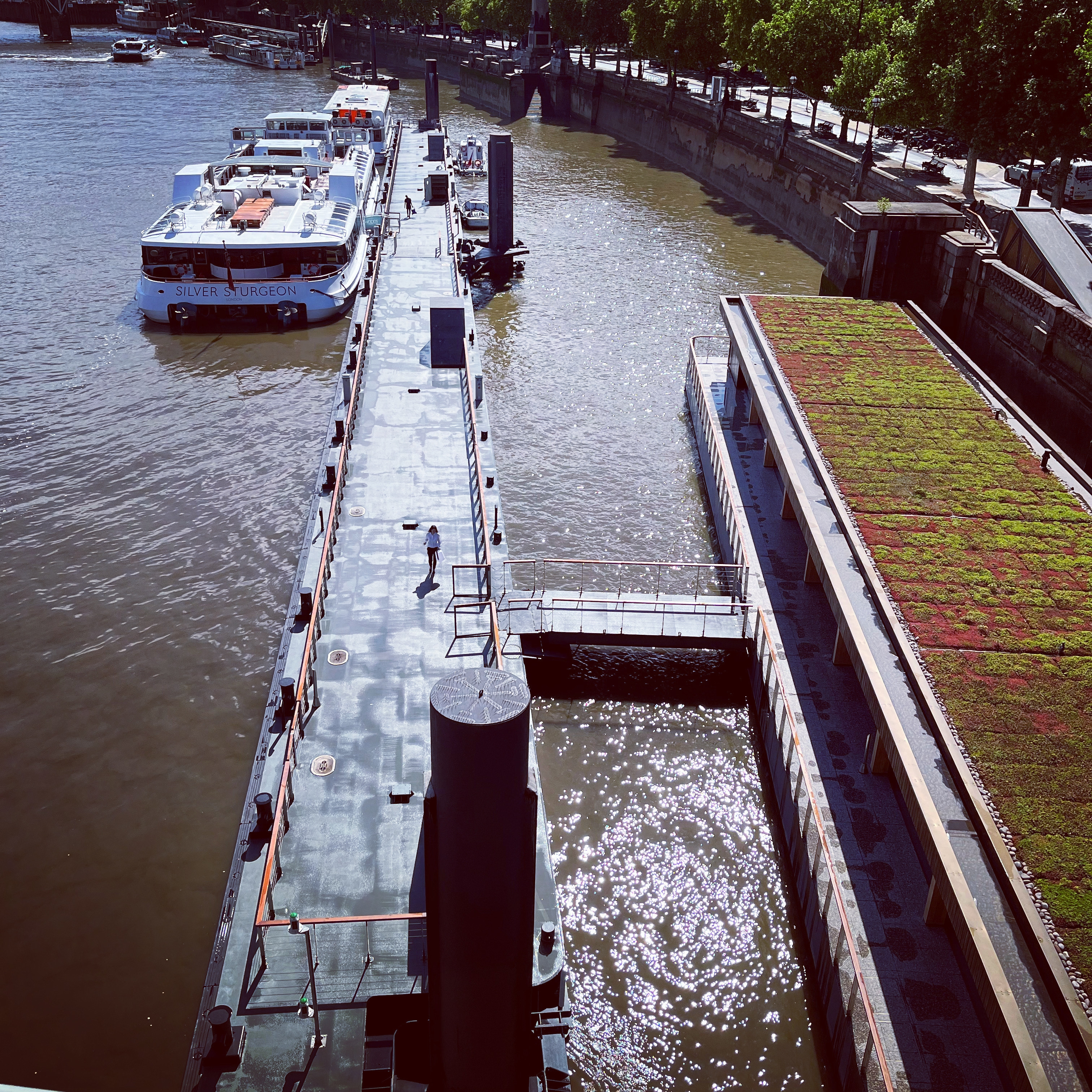 Photo of Woods' Silver Fleet, Silver Barracuda