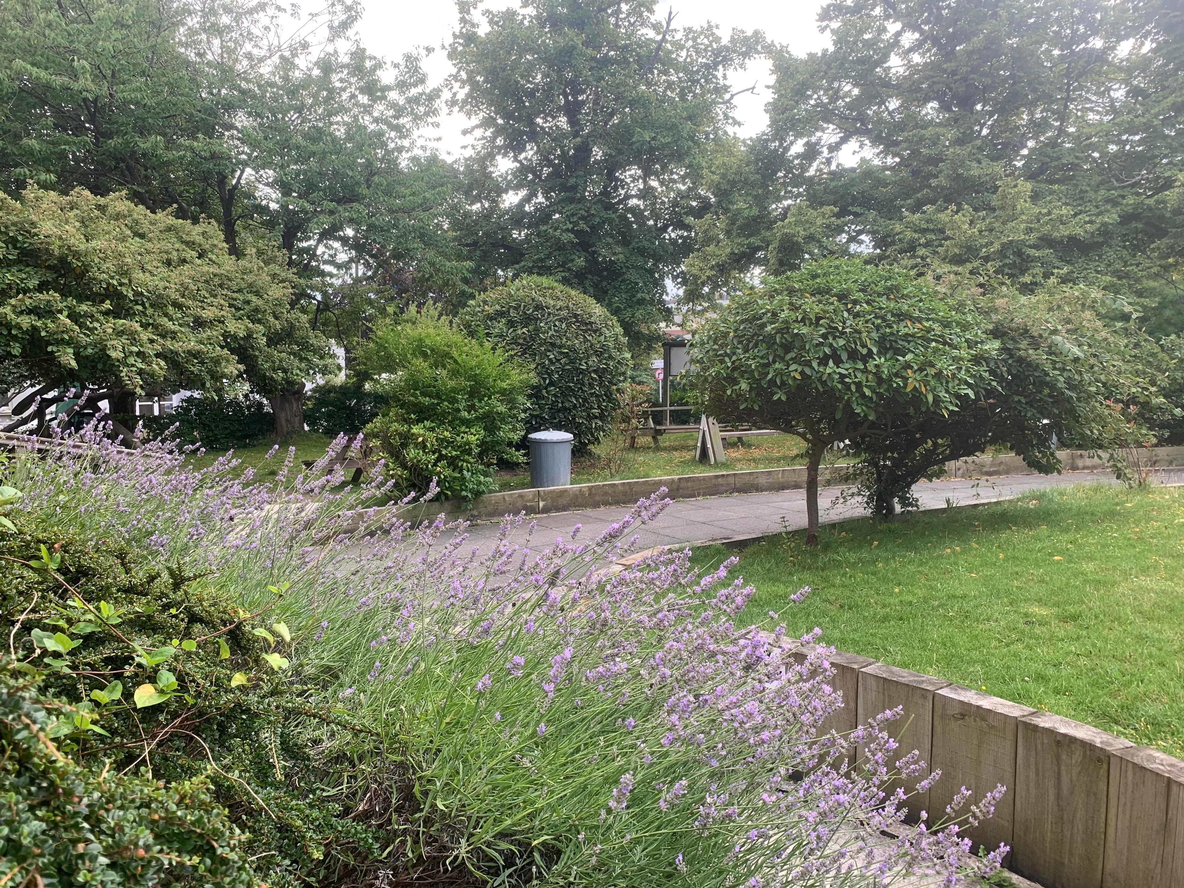 St Augustine's Arts And Events Centre, Front Garden photo #2