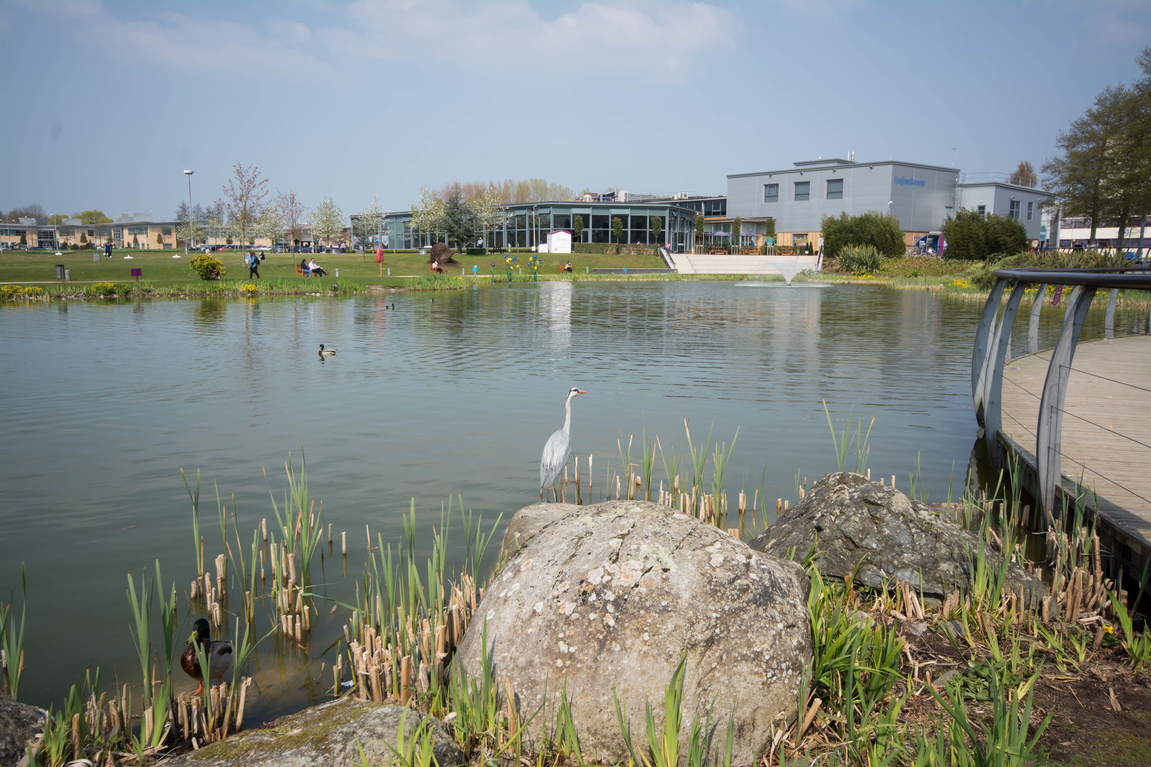 The Engine Rooms, The Maple Suite photo #2