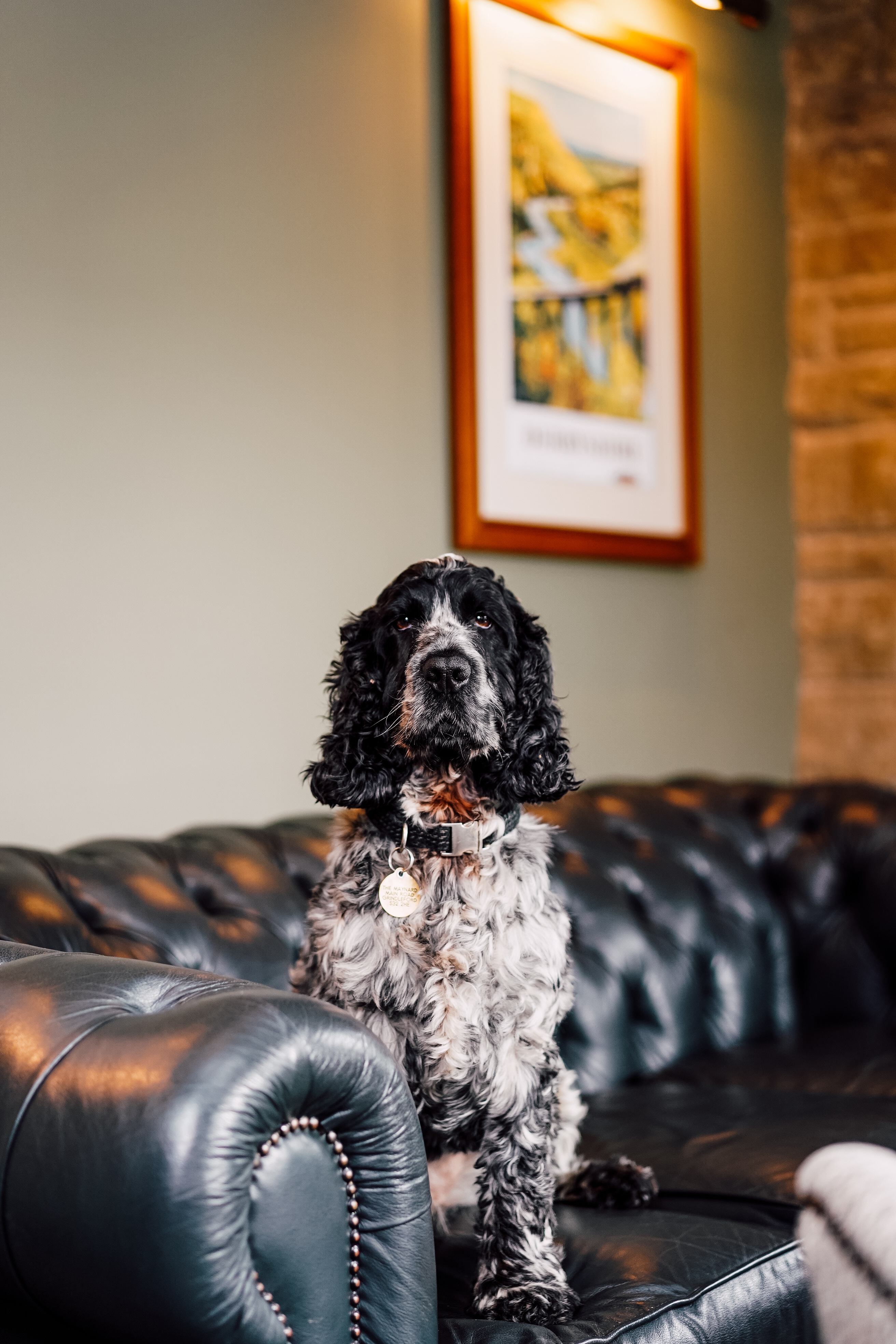 Photo of The Maynard