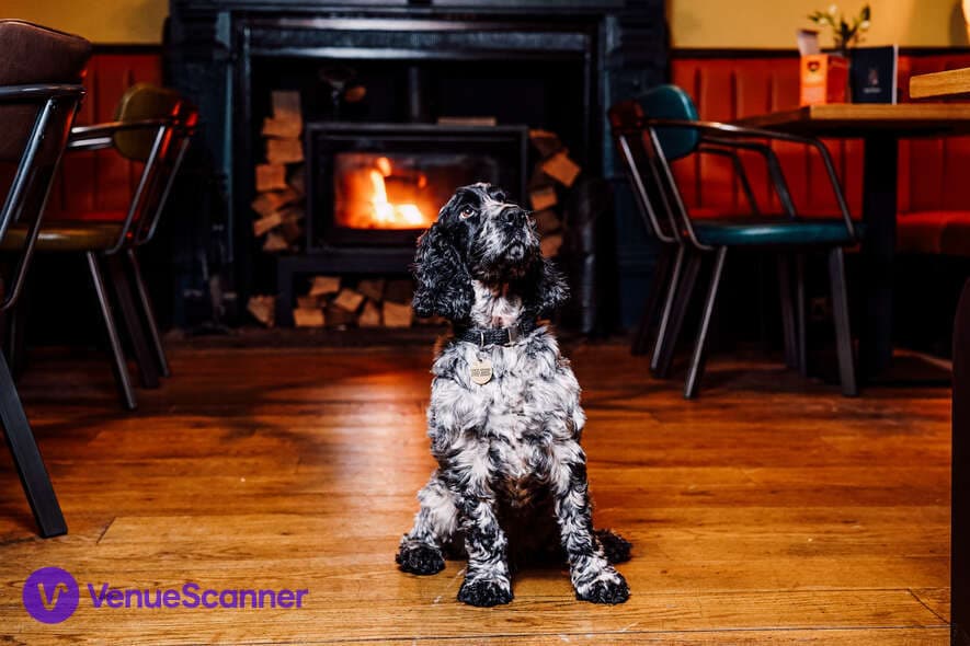 The Maynard photo #3