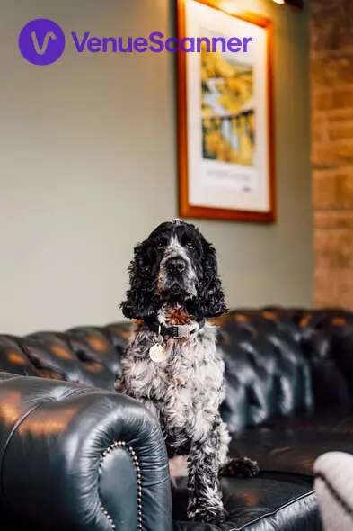 The Chatsworth Suite, The Maynard photo #67