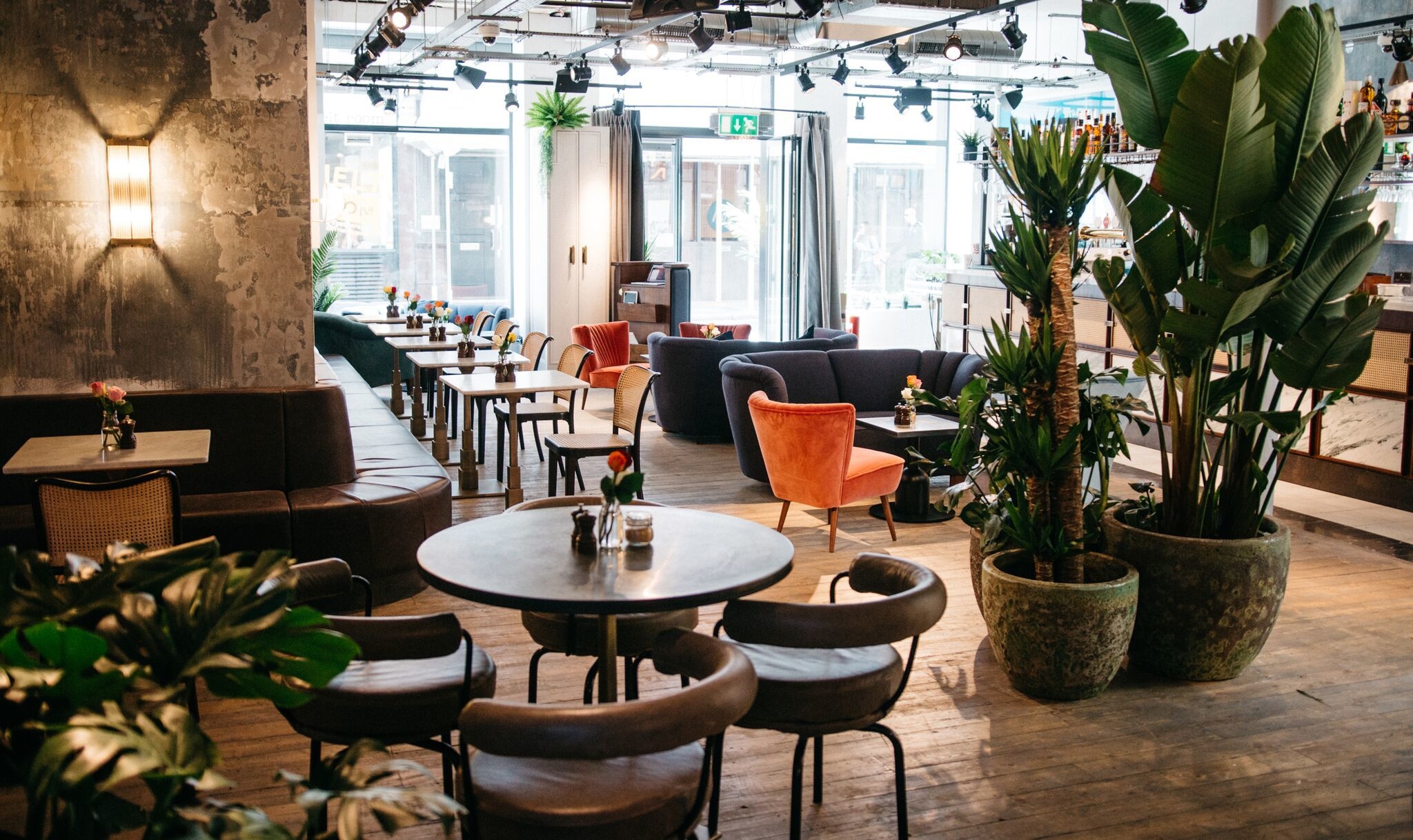 Photo of Scarlett Green, Whole Venue