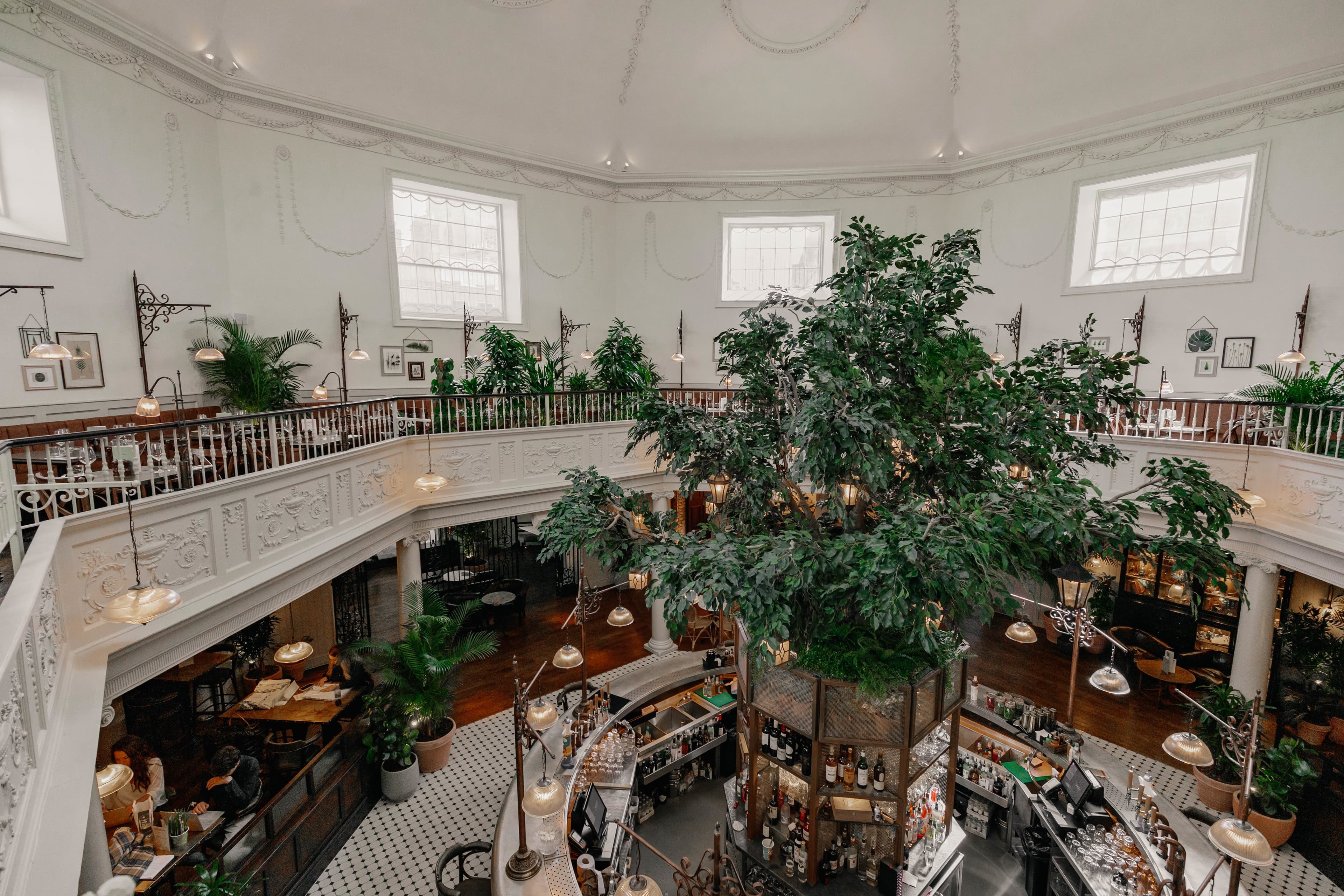 Whole Venue, The Botanist Bath photo #1