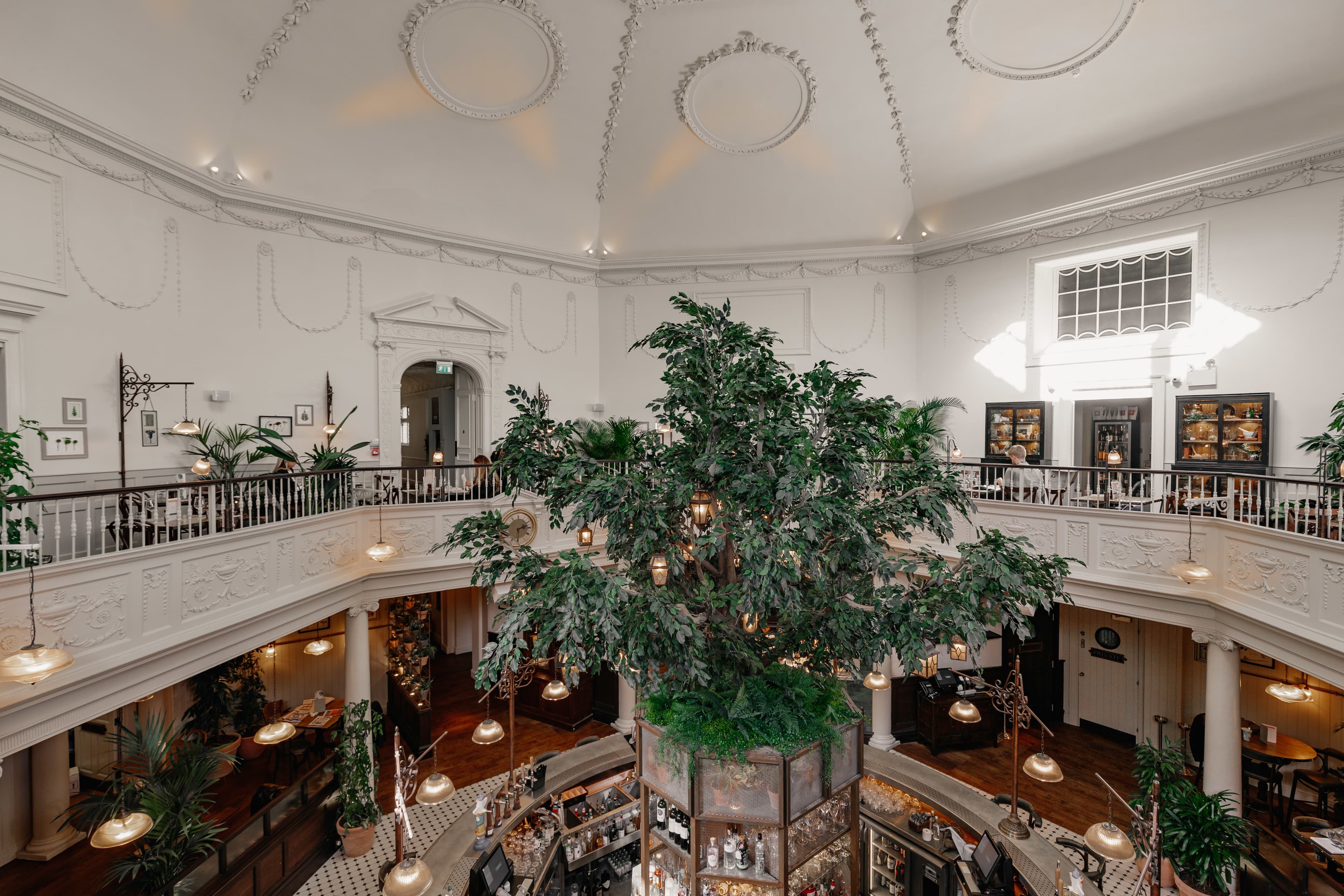 Whole Venue, The Botanist Bath photo #2