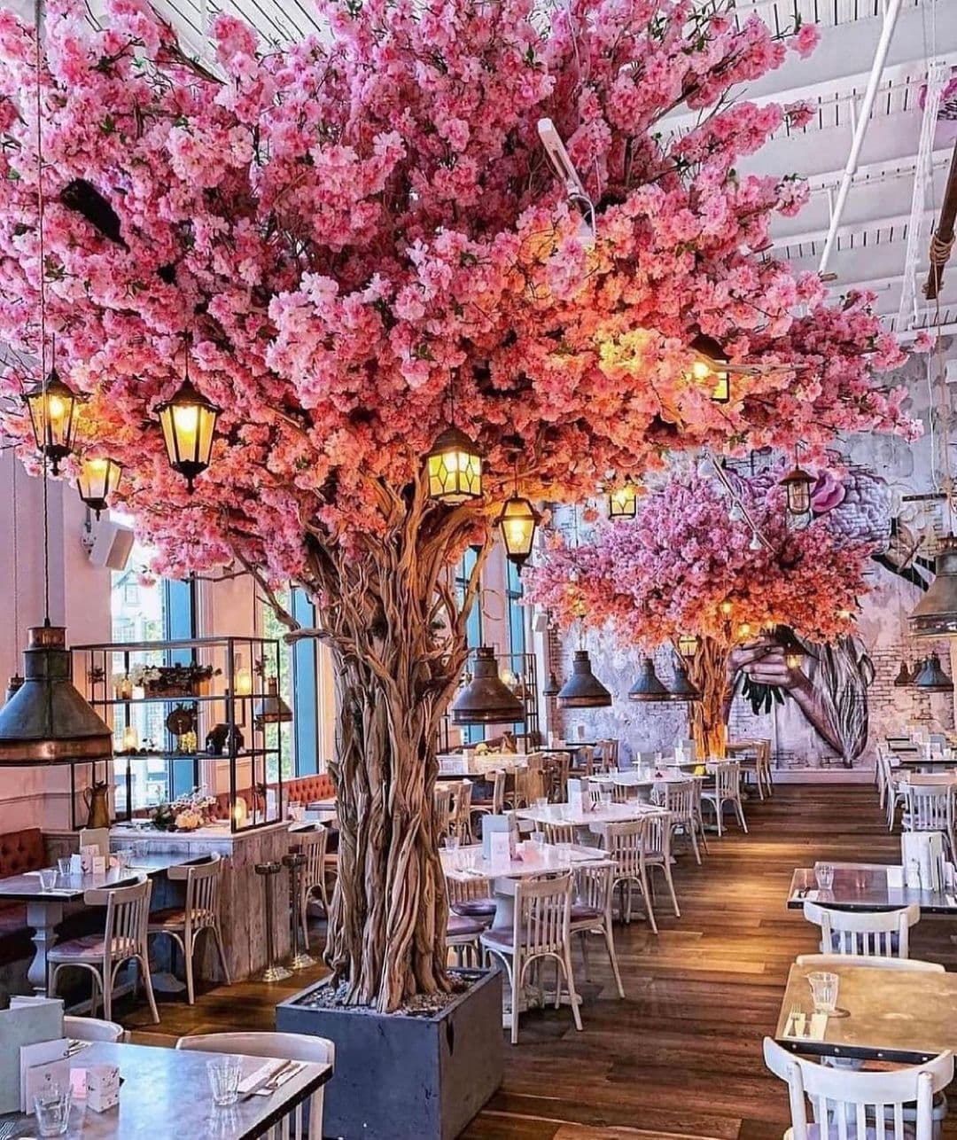 Area And Whole Venue Hire