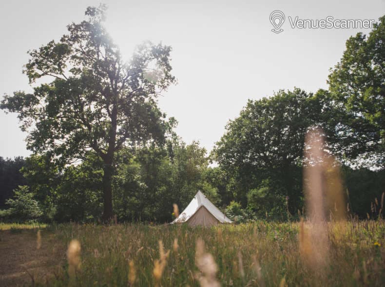 Meadow Bell Tent, The Dreys photo #3