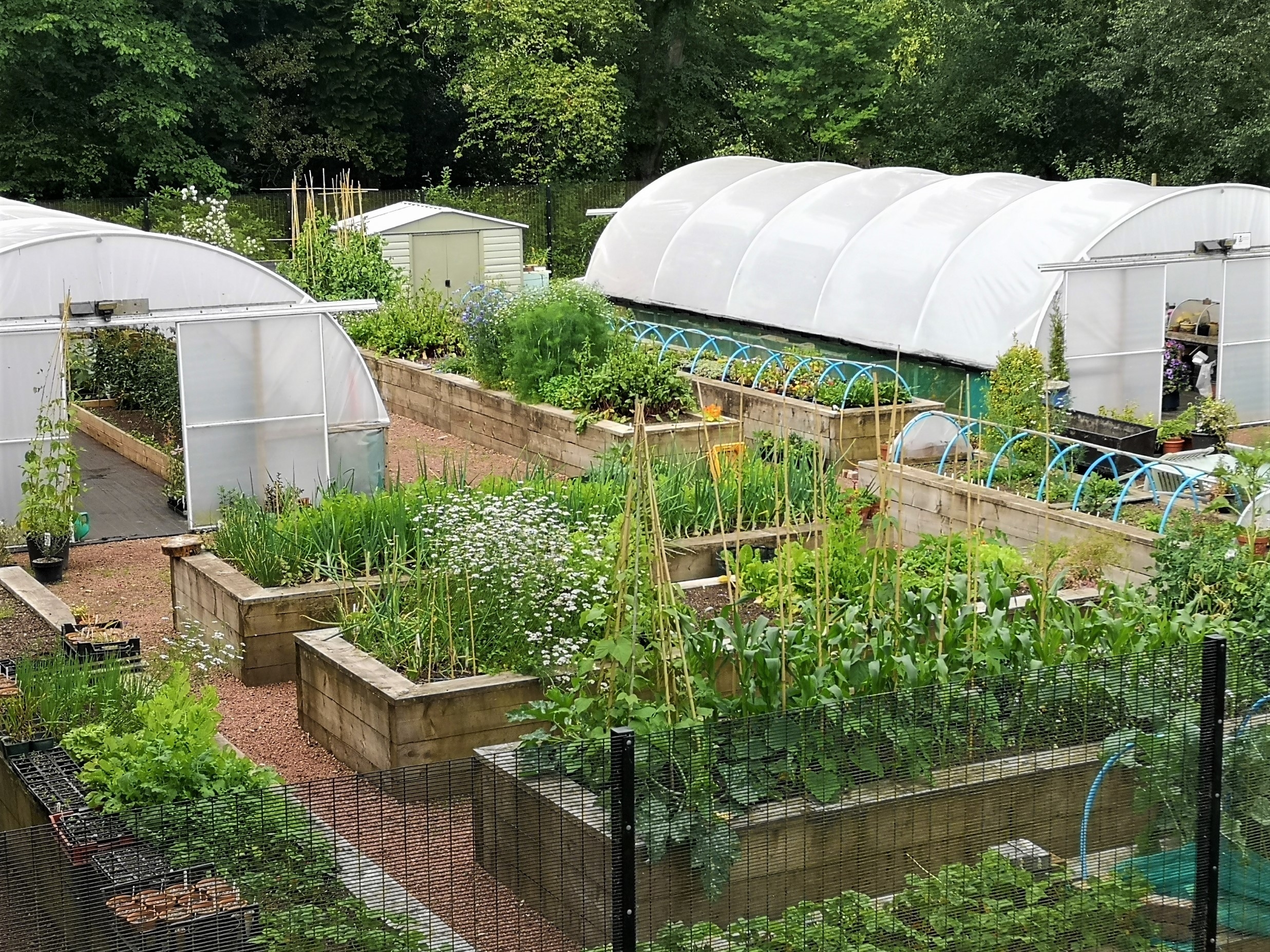 Photo of Castlebank Horticultural Centre