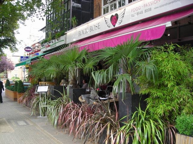 Photo of Rock And Rose