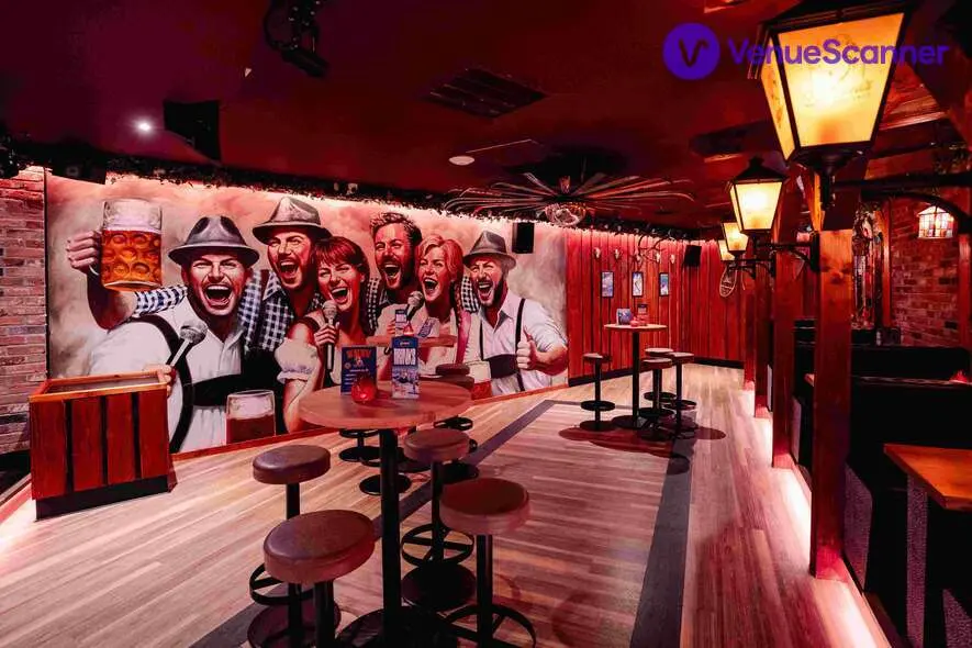 Karaoke Room, Barbara's Bier Haus Bristol photo #2