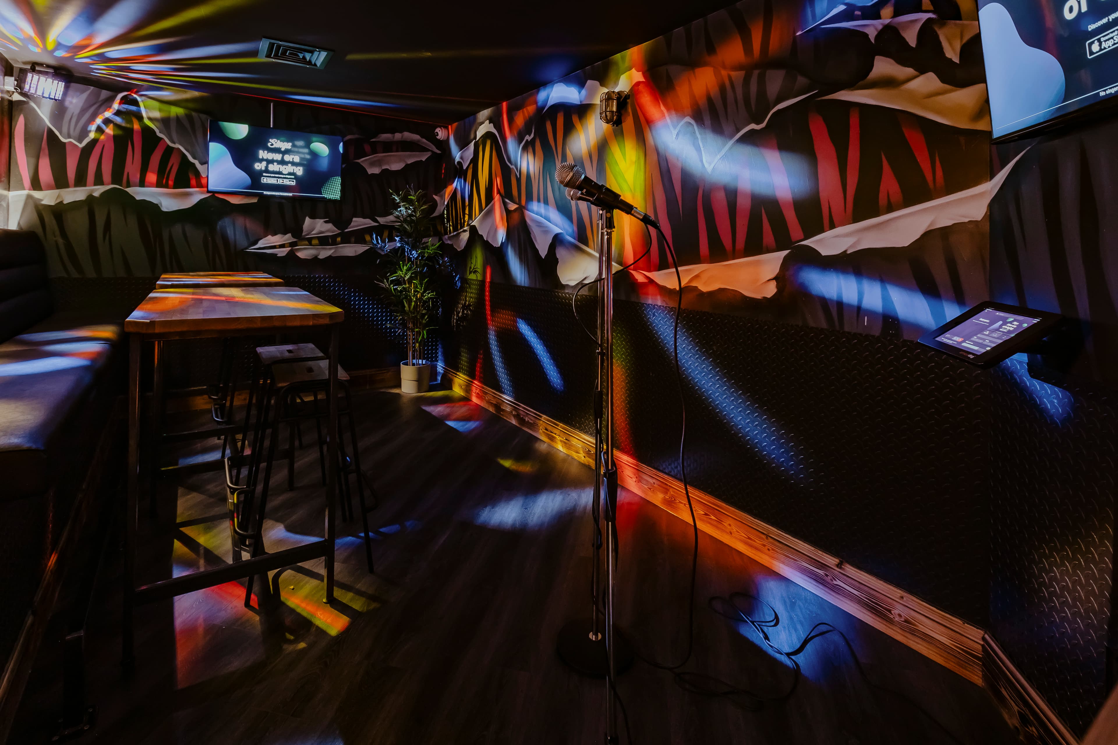 Karaoke Room