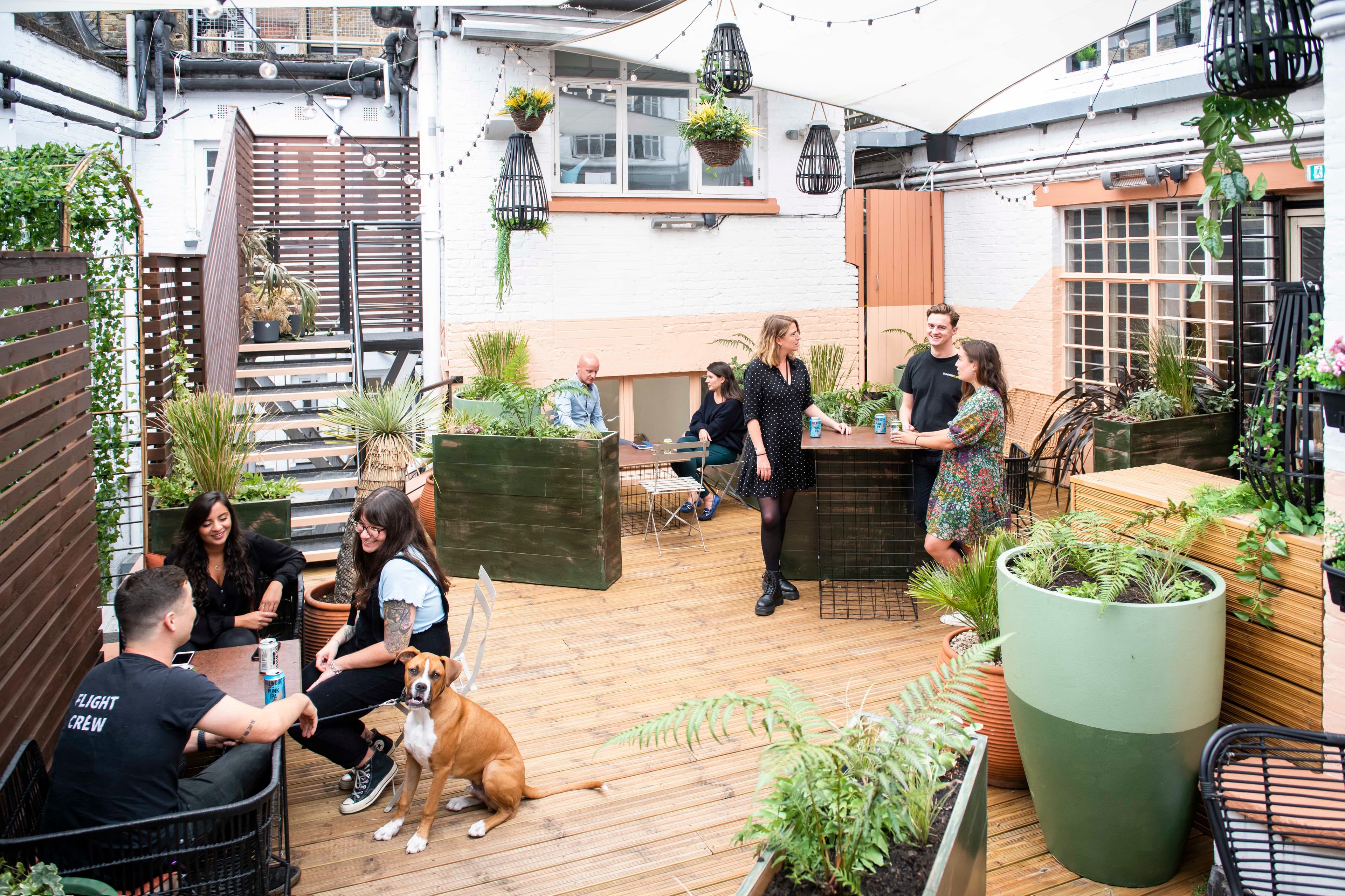 Runway East Soho, The Terrace photo #2