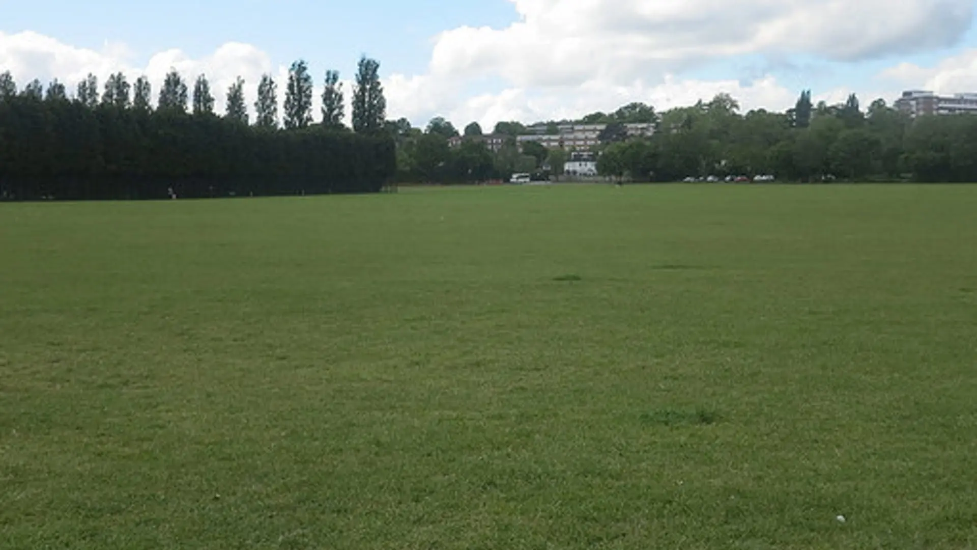 Wimbledon Park, Main Field photo #2