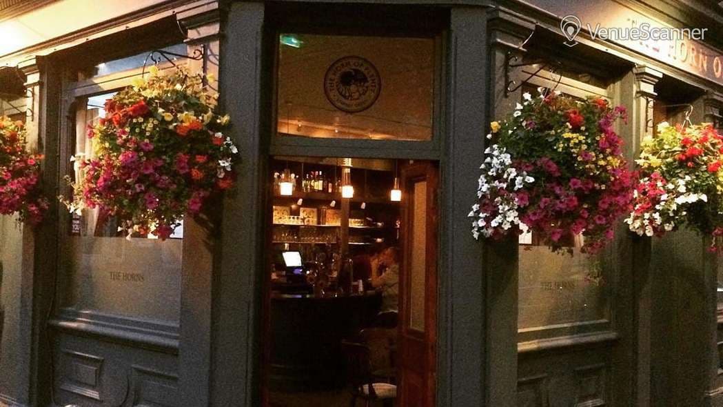 Whole Pub, The Horn Of Plenty photo #2