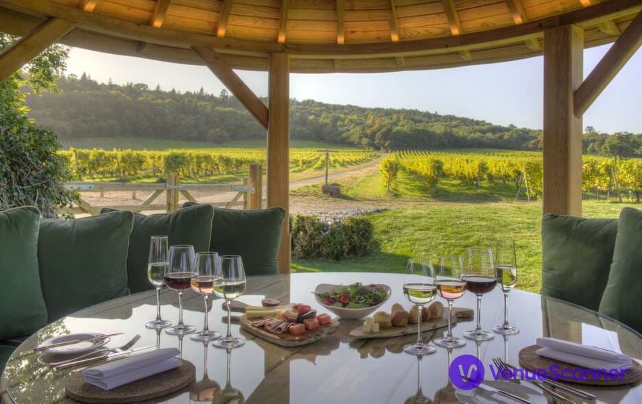 The Vineyard Hotel Restaurant, Denbies Wine Estate photo #3