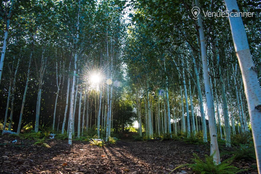 Garden Cafe, Yeo Valley photo #3