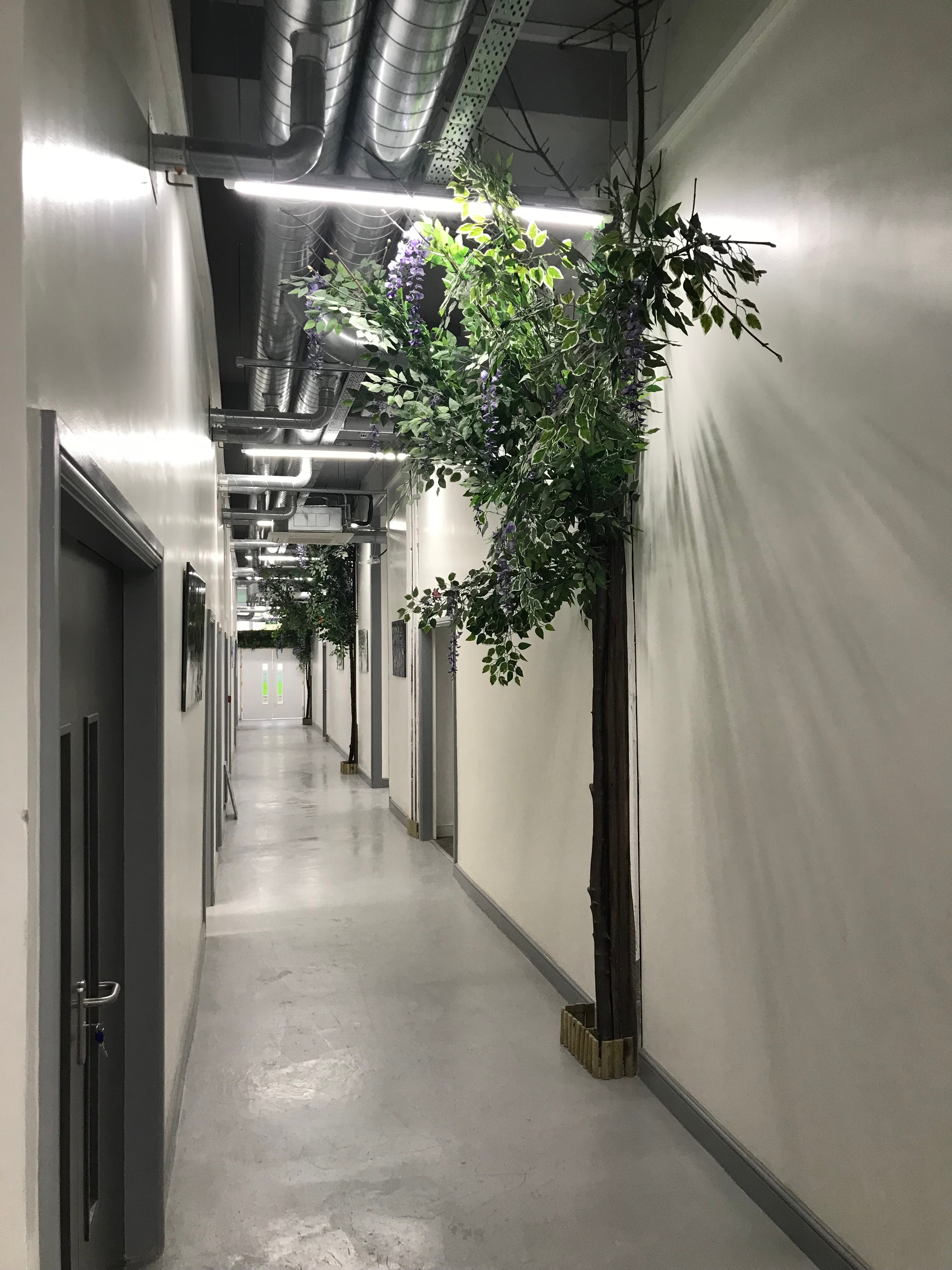 Photo of The Branch Wellness Clinic117, Treatment Room