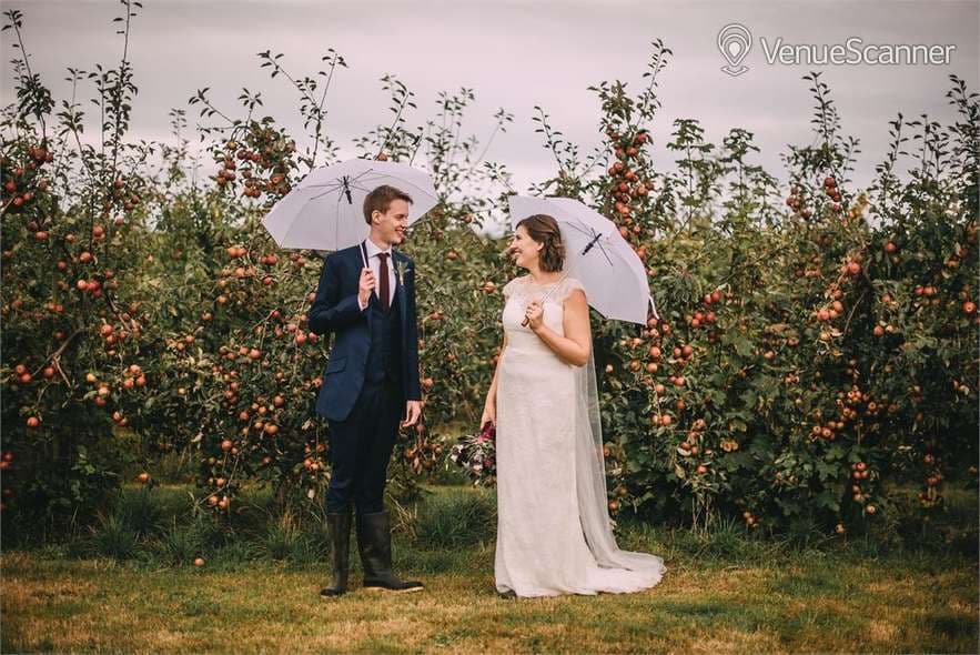 Exclusive Hire, The Night Yard photo #3