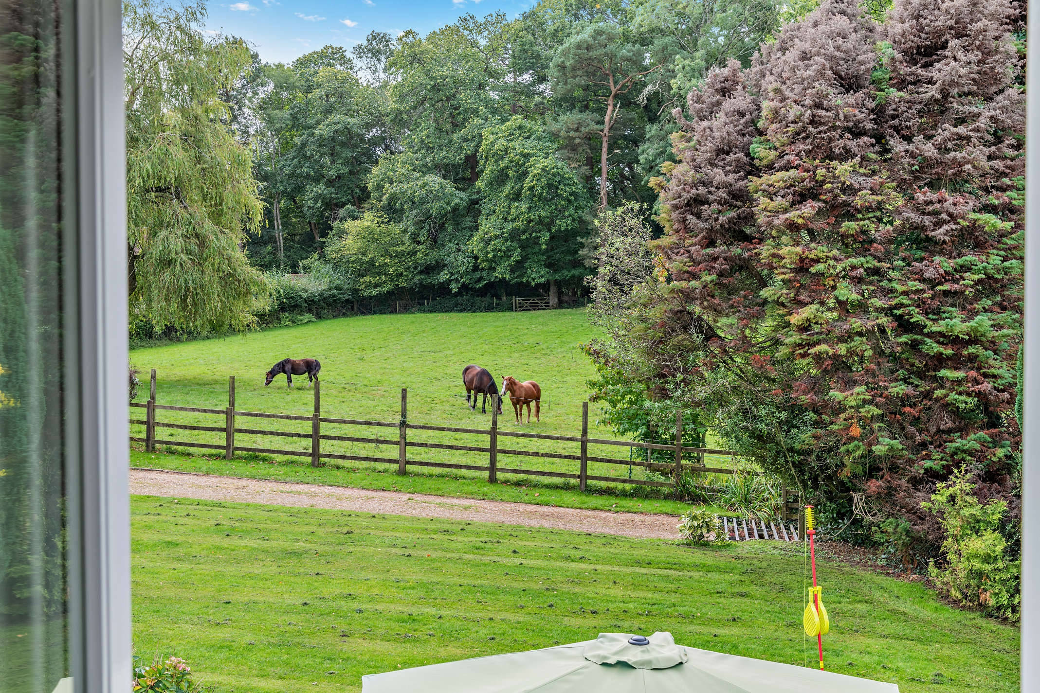 Photo of New Forest Lodge