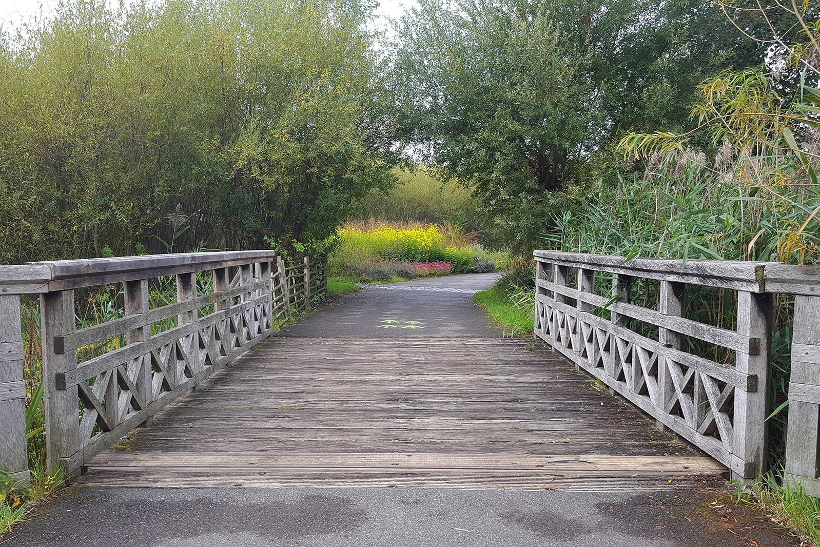 Photo of WWT London Wetland Centre, H2o