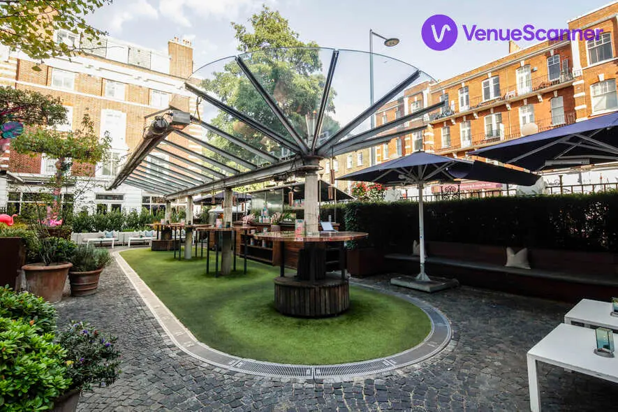 The Courtyard, Bluebird Chelsea photo #2