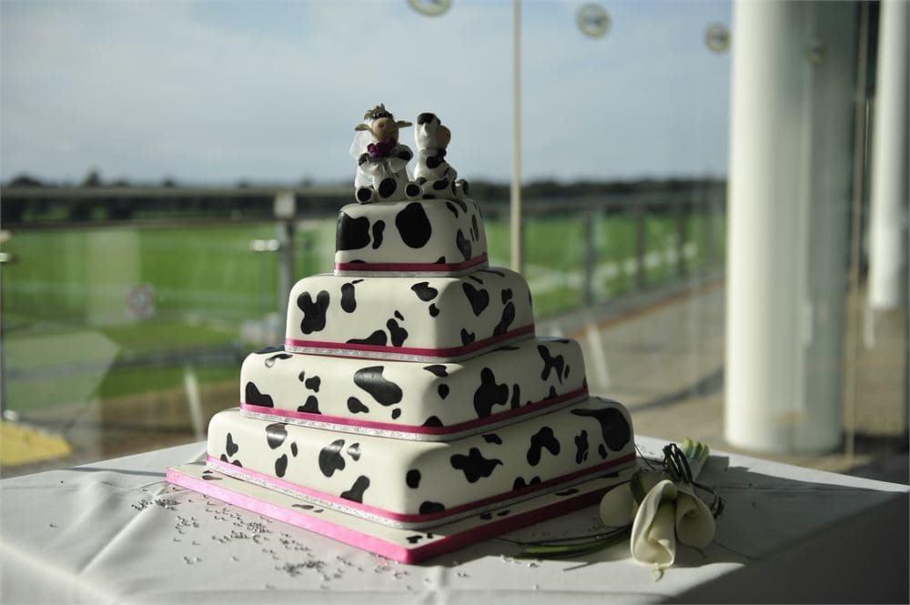 York Racecourse photo #2