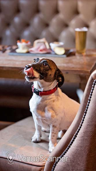 Bar, The Kings Head photo #3