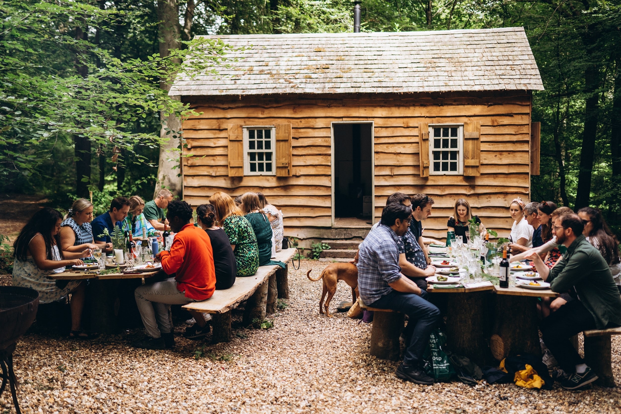 Photo of The Secret Woodland, Private Hire