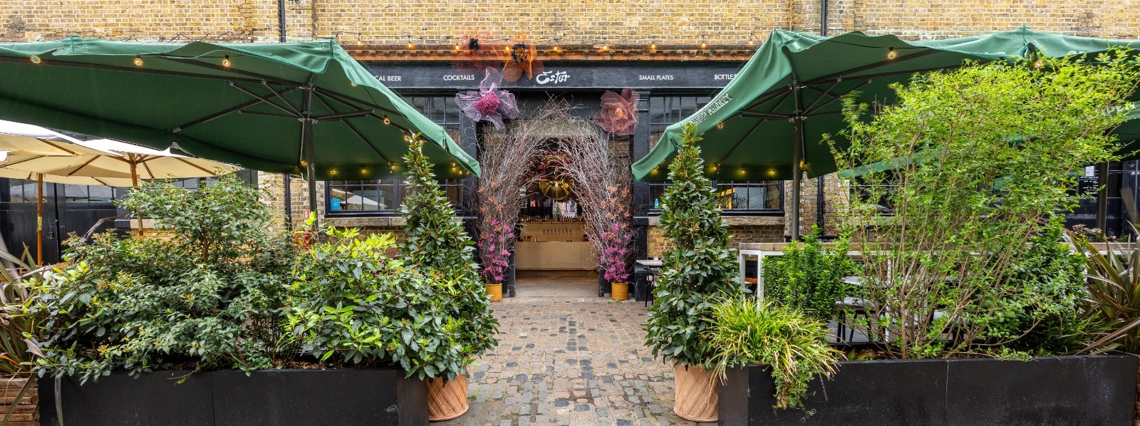 Photo of Ester, Main Bar