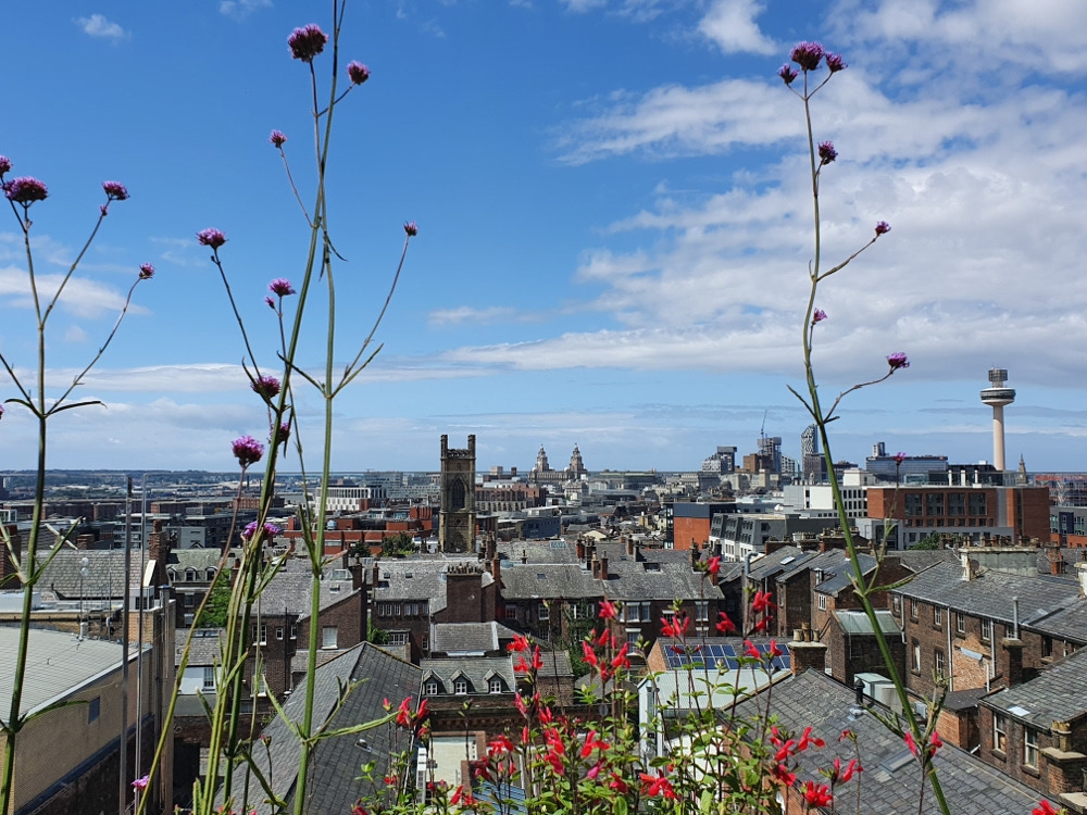 Photo of Hope Street Hotel, Old Bookroom