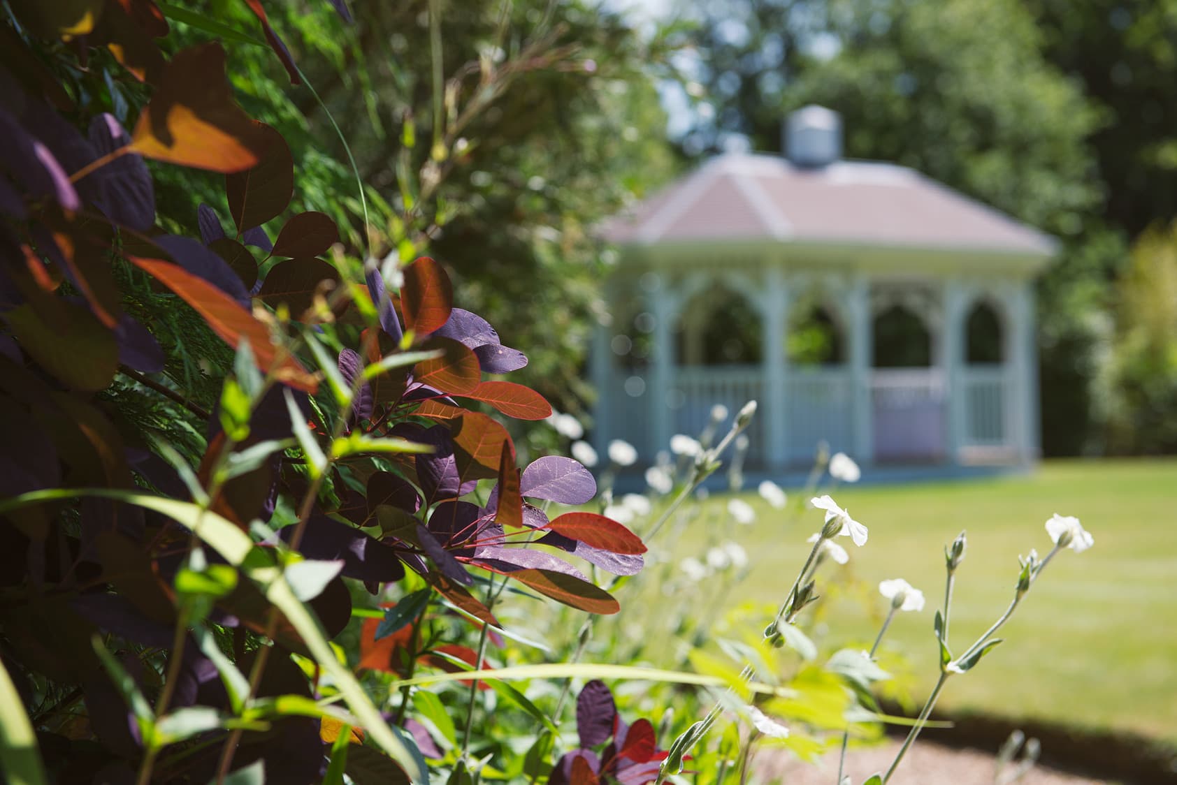 Moorhill House Hotel, Burley Room photo #2