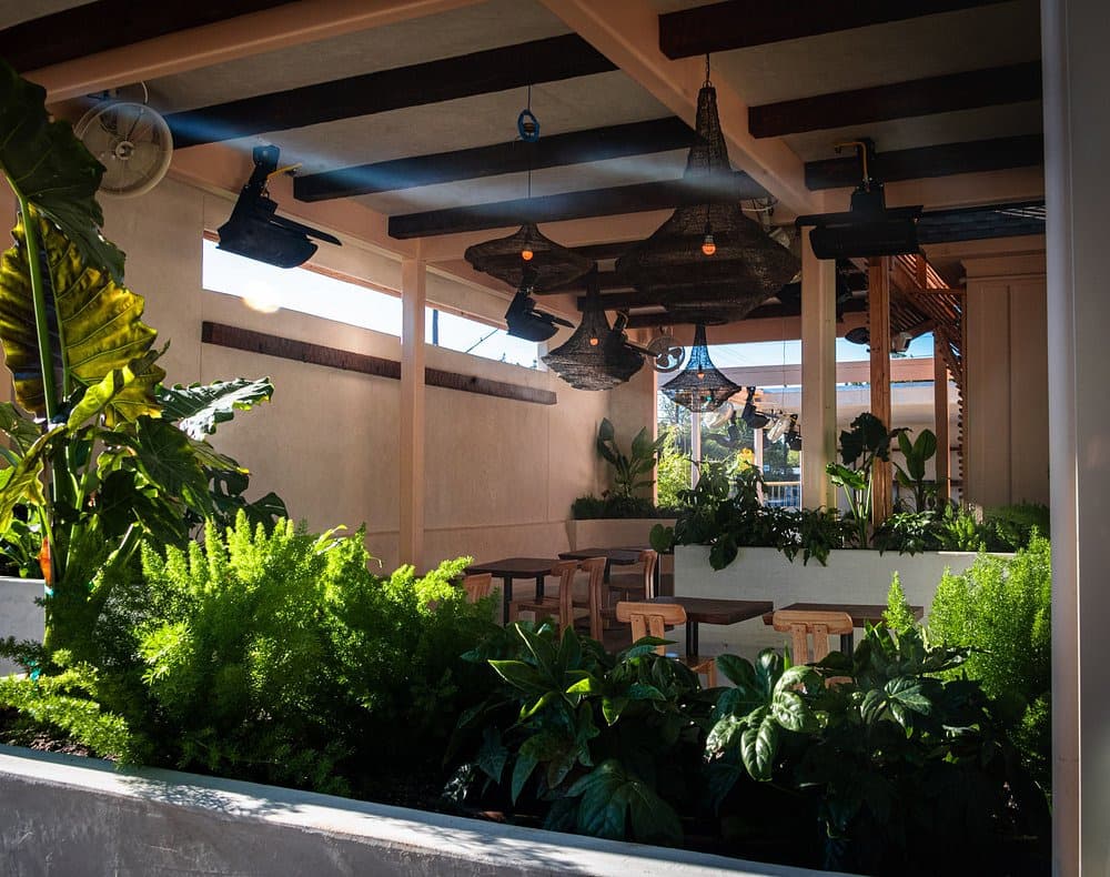 Cantina, Nomade Cocina photo #8