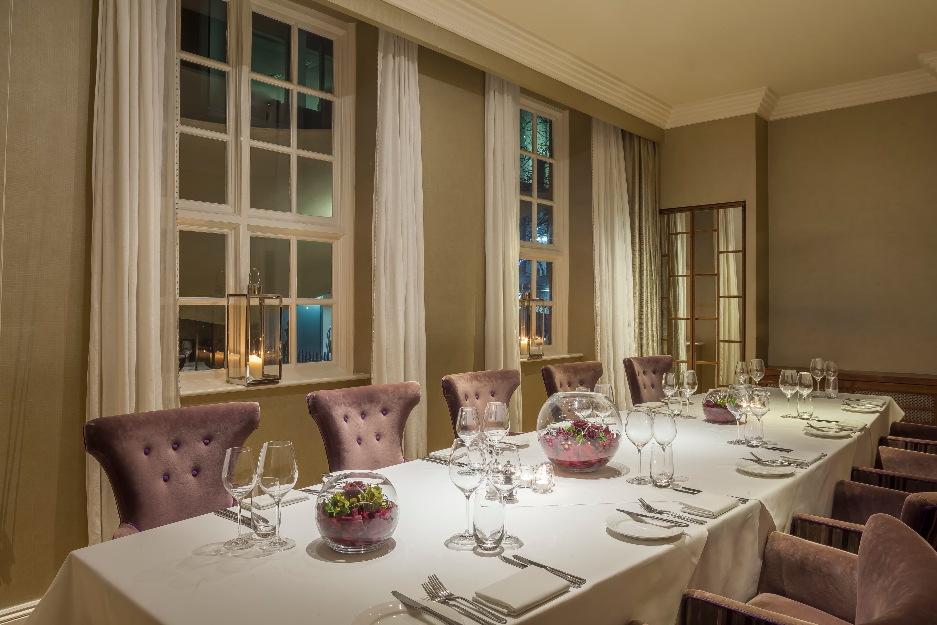 The Roseate Reading, The Cellar photo #2