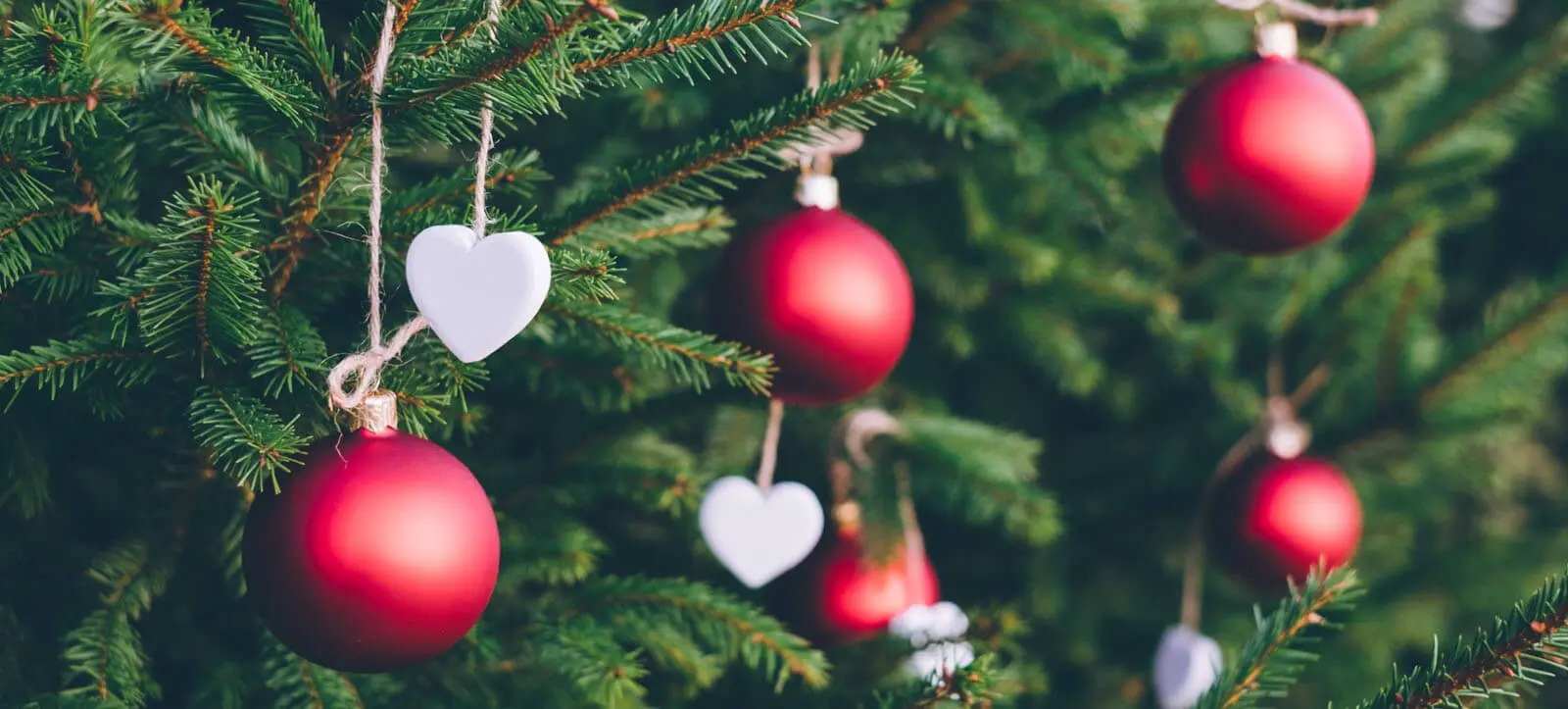 Christmas Party venues in Bloomsbury